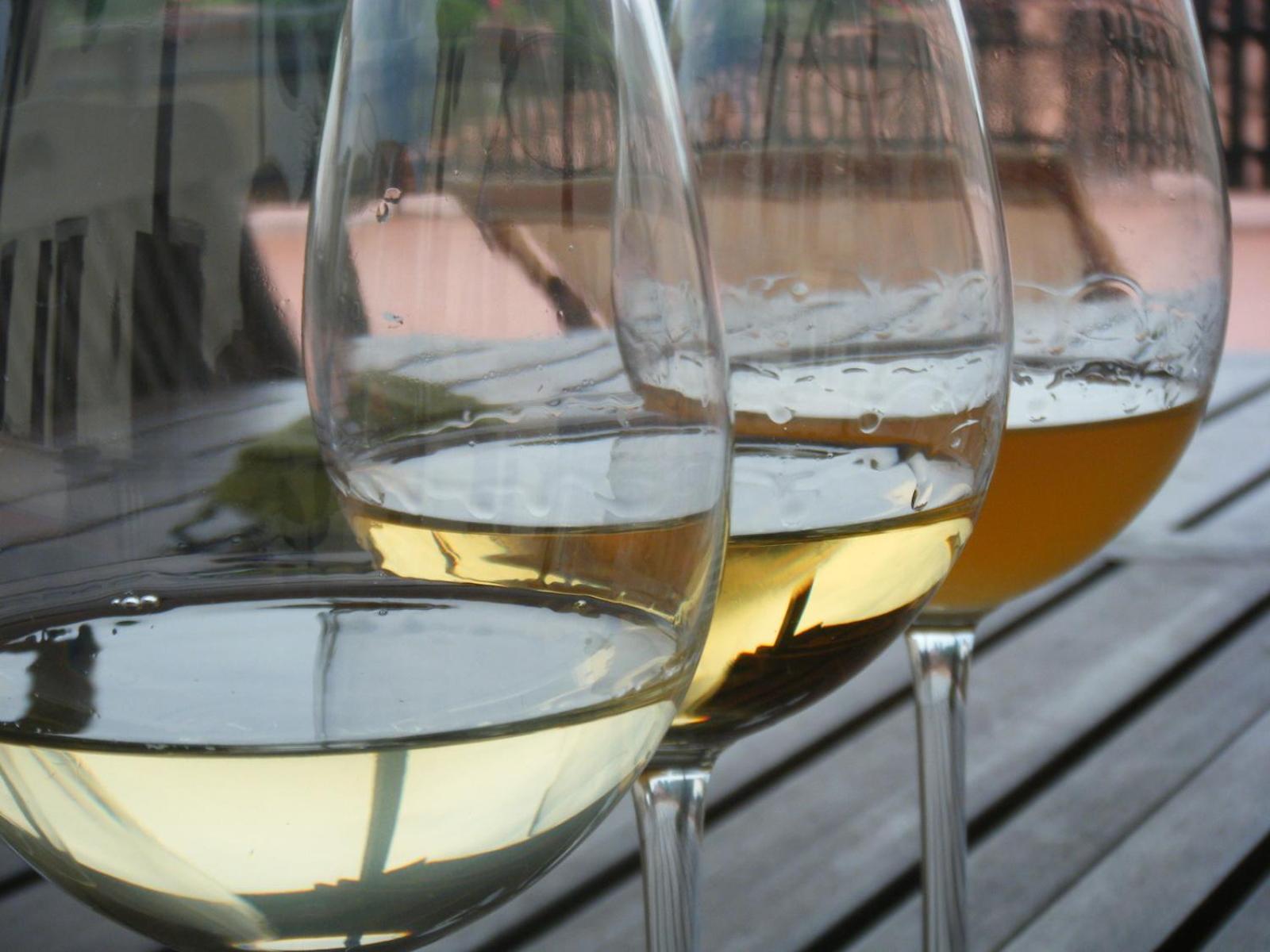 Agriturismo Grillo Iole Winery Prepotto  Eksteriør bilde