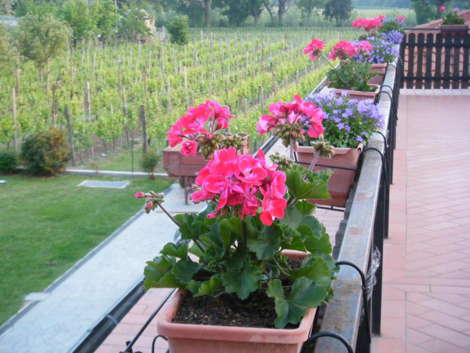 Agriturismo Grillo Iole Winery Prepotto  Eksteriør bilde