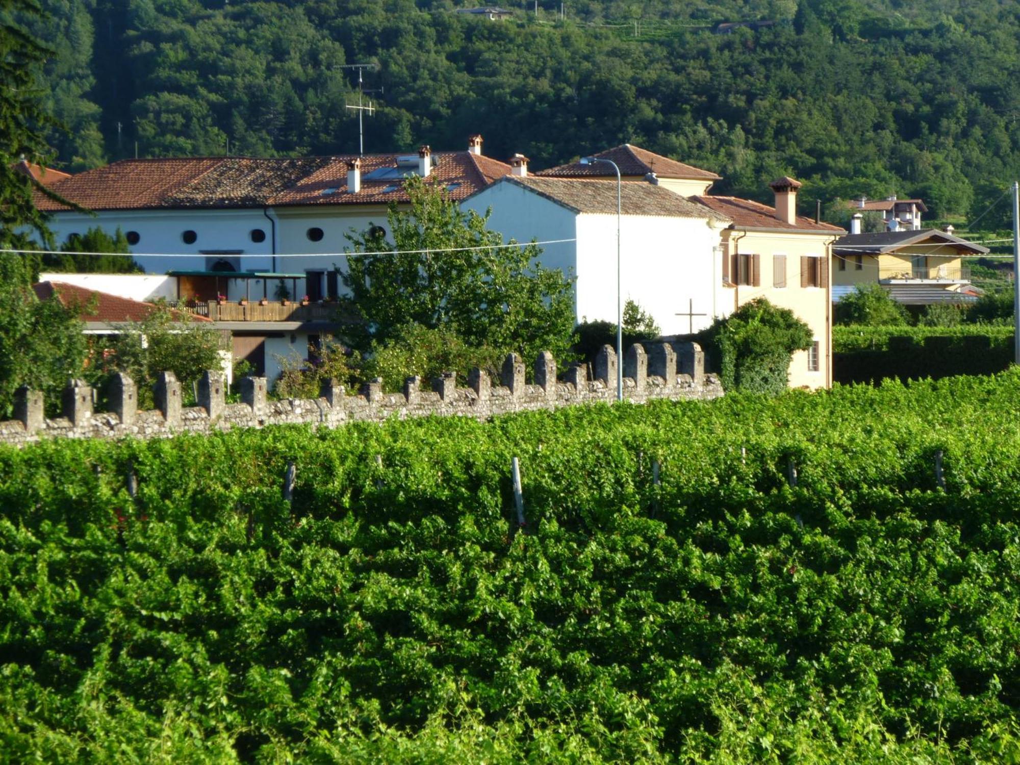 Agriturismo Grillo Iole Winery Prepotto  Eksteriør bilde